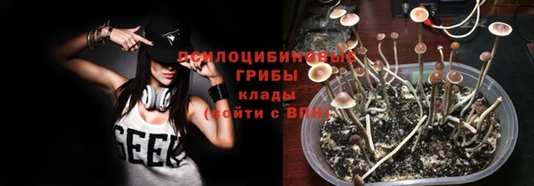 МДПВ Наволоки