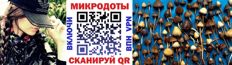 mega tor  Новомосковск  Галлюциногенные грибы Magic Shrooms 