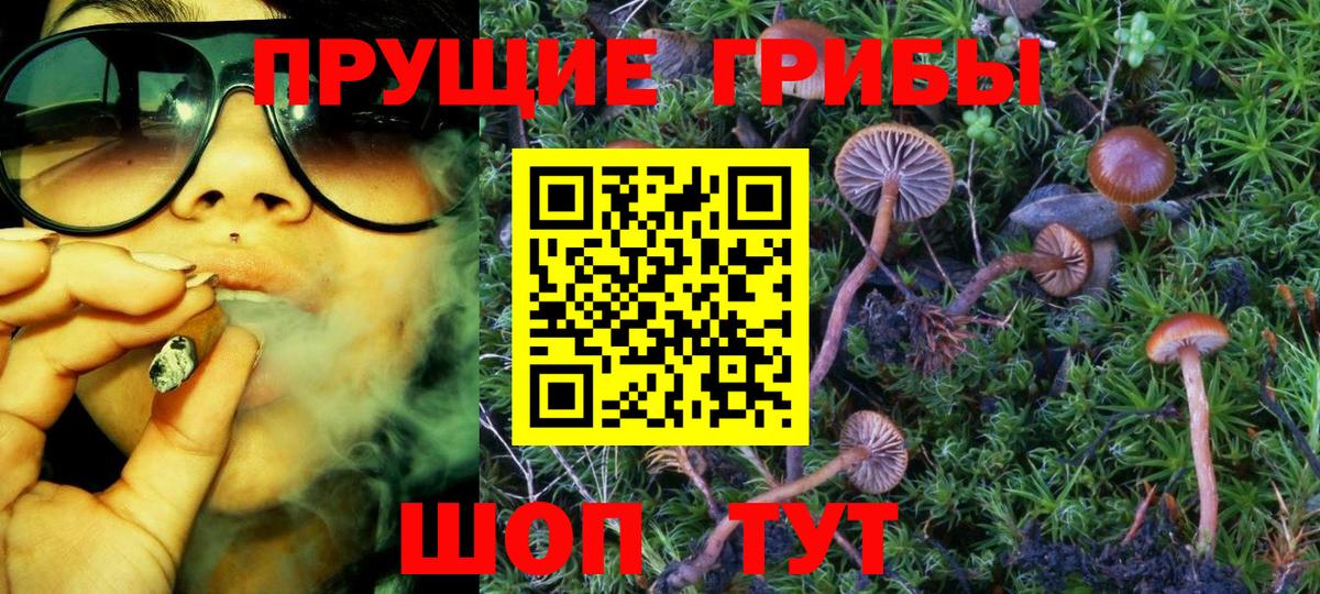 Галлюциногенные грибы MAGIC MUSHROOMS  Новомосковск 