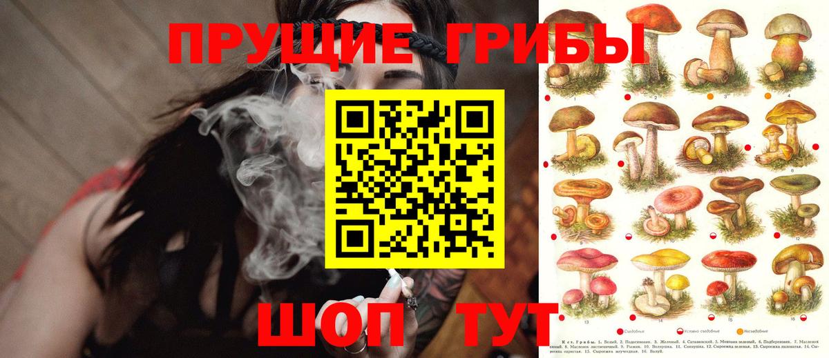 Галлюциногенные грибы мухоморы Новомосковск